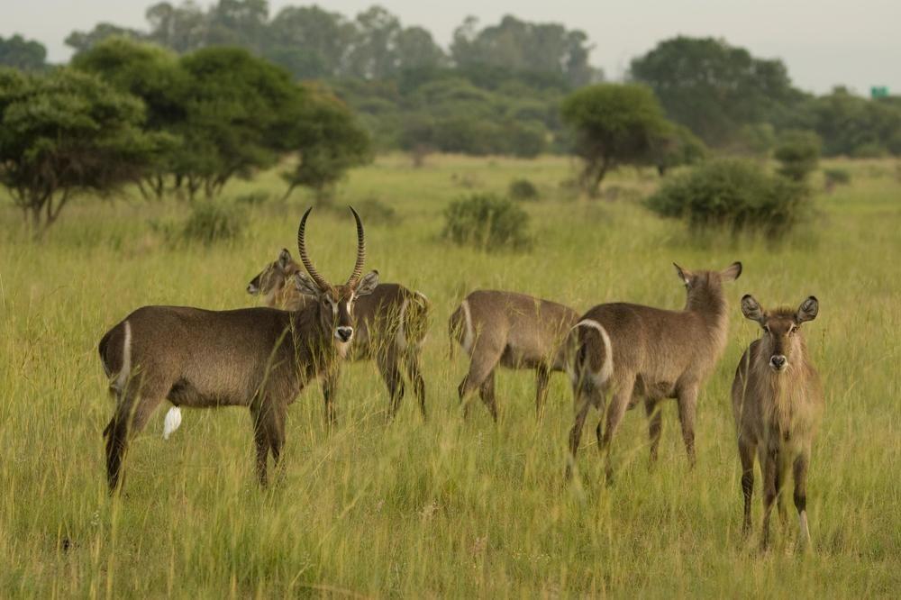 Kedar Heritage Lodge, Conference Centre & Spa Rustenburg Esterno foto
