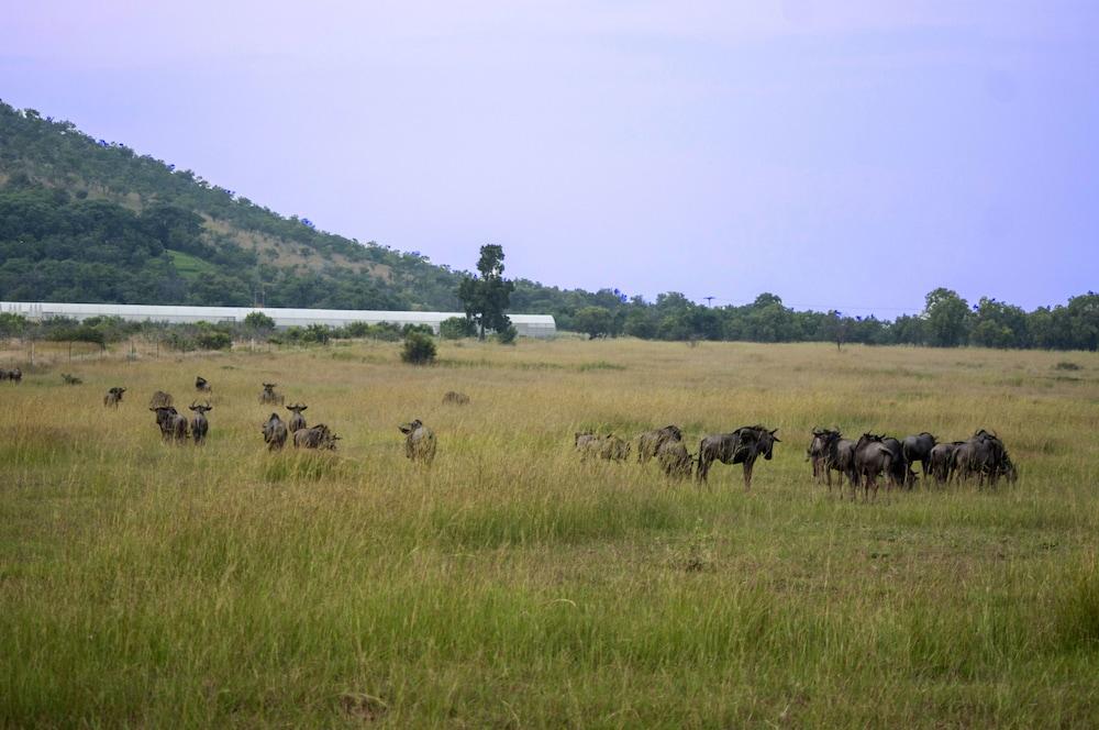 Kedar Heritage Lodge, Conference Centre & Spa Rustenburg Esterno foto
